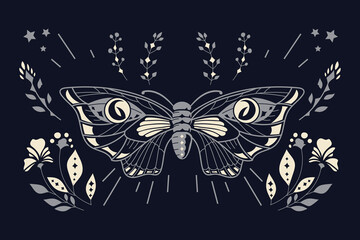 Esoteric Owl Butterfly Tropic Insect Concept Suitable for Decoration and Background