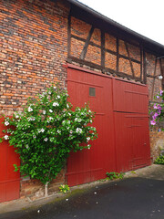 Fototapeta na wymiar Detail of timbered building with brick wall and red barn door with flowers in Germany