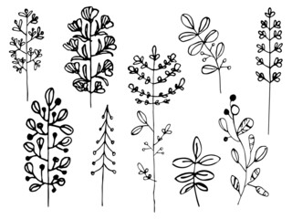 Hand drawn vector set of tree branches. Black herb leaf, herbs silhouettes isolated on white background. Botanical illustration for print, wedding card, invitation card, floral poster