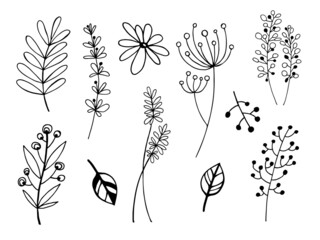 Hand drawn vector set of tree branches, flower, leaves. Black herb leaf, herbs silhouettes isolated on white background. Botanical illustration for print, wedding card, invitation card, floral poster