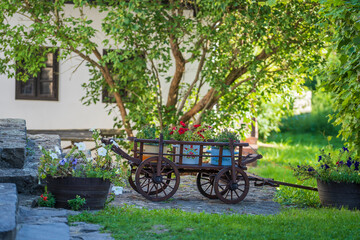 Fototapeta na wymiar Garden composition with wooden rustic cart with bright flowers in the yard, Hungary