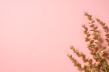 Golden eucalyptus branches at pink background. Flat lay image with copy space.