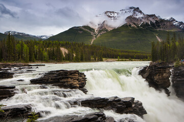 Canada, Alberta. View of Athabasca Falls on the Athabasca River on the Icefields Parkway.
