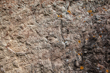 Stone texture in brown and beige tones. Close-up brown stone with orange lichen spots, abstract background