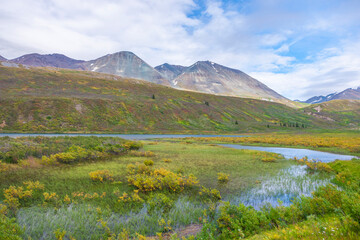 Canada, British Columbia, Scenic view of marsh and mountains on the Haines Highway.