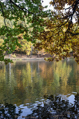 branches with yellowed foliage in an autumn park, lake in the forest 