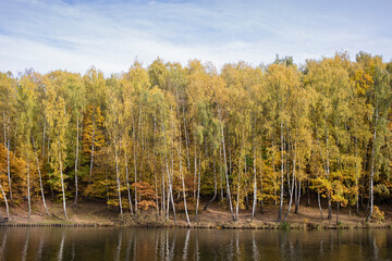 Autumn park, yellow trees reflected in the water