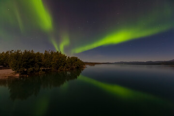 Canada, Yukon. Northern lights reflected in Marsh Lake at Tagish.