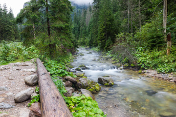 The river in mountain