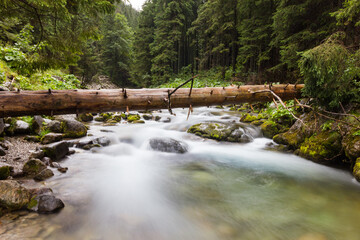 The river in mountain