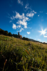 llama, alpaca Andean landscape, ecuadorian blue sky