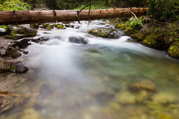 The river in mountain