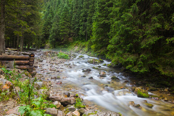 The river in mountain