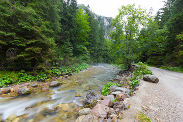 The river in mountain