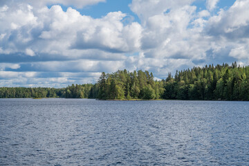Summer view of Liesjarvi National Park and Lake, Tammela, Finland