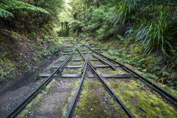 Abandoned railroad track, Te Aroha Mountain Gold Mining Walking Track, New Zealand