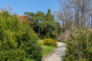 Fototapeta na wymiar Image of a walkway in the spring park.