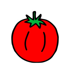 Vector outline illustration of one fresh red tomato isolated on a white background