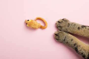 Cat paws and a mouse cat toy on a pink background. Top view, copy space.