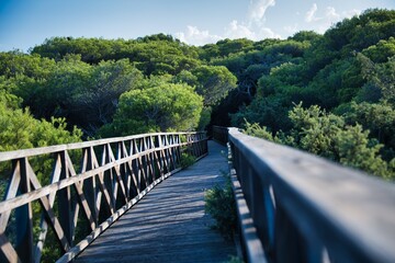 Sea side bridge over a diunes