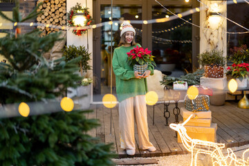 Woman carrying poinsettia flower at Christmas decorated backyard of her country house. Concept of preparation for the winter holidays. Caucasian woman wearing green sweater and hat - obrazy, fototapety, plakaty