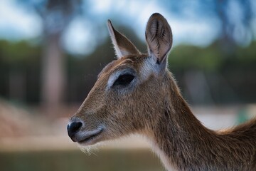 Just playing nice face for the photo