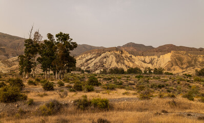 Fototapeta na wymiar Landscape of tabernas desert, Almeria, Spain