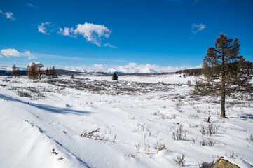 View of Ulagan Highlands