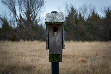 Lonely Birdhouse