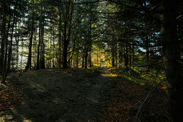 Naklejka premium Way up