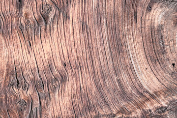 Fototapeta premium A burl light brown wood as background. 