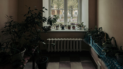 interior with plants