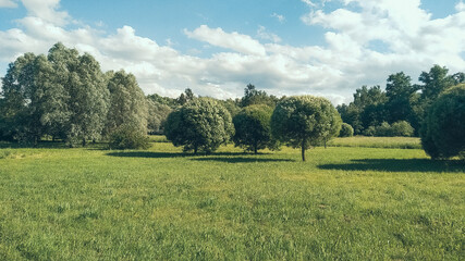 landscape with green field and sky