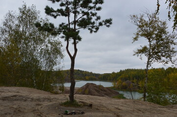 Fototapeta na wymiar Russia, Tula region, Konduki, Romantsev mountains, tree on the shore