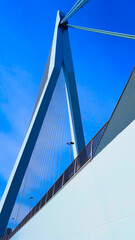Erasmus bridge in Rotterdam