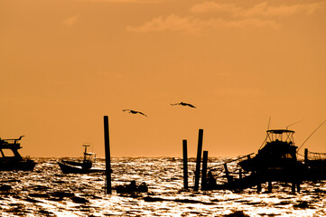 Silhouette of the pier with boats, pelicans and observer at sunset in Caribbean Bavaro beach, Punta...