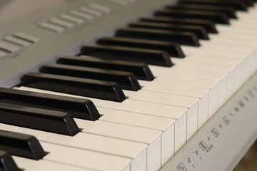 Close-up view of piano keys
