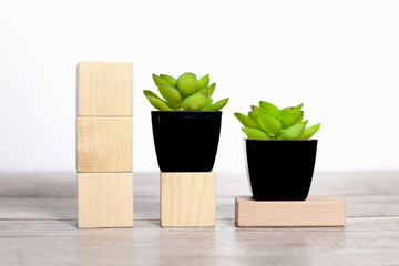 three wood blocks with place for text
