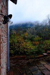A view of the forest during a foggy day. Vosges mountains, France. October 2021.