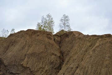 Russia, Tula region, Konduki, Romantsev mountains, tree in the mountains