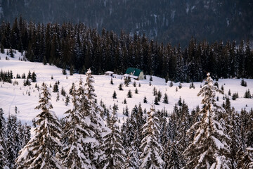 beautiful view of the snow-covered mountain slope with evergreen trees and small house
