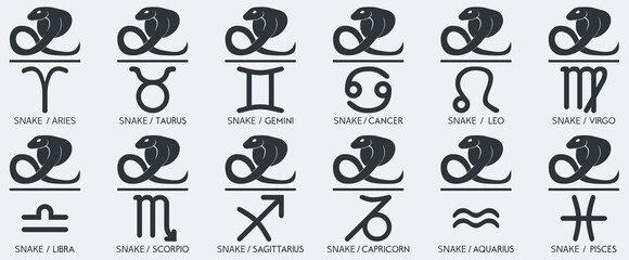 Vector Year of the snake Animal icons eastern annual horoscope and zodiac signs in one symbol 2025 2037 2049 2061 years