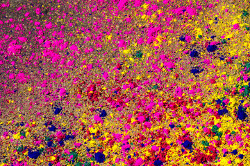 Colorful background made of Indian dyes