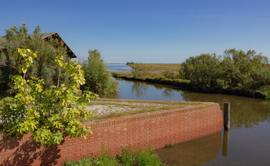 Landscape of the Venetian lagoon. View on a canal with bricole and the red brick wall, bushes, a wild fig tree and a wooden shed. Millecampi Valley, Italy.