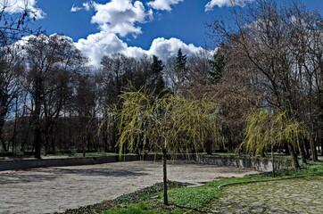 Fresh view of early spring in the forest of the park with new green grass, Sofia, Bulgaria 