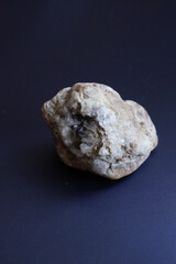 Mineralien  und Fossilien Druse 