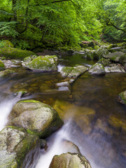 Obraz premium Valley of river Wolfsteiner Ohe (Buchberger Leite) in the Bavarian Forest. Europe, Germany, Bavaria