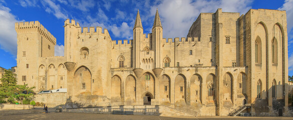 Avignon, Palais des Papes, Vaucluse, France - obrazy, fototapety, plakaty