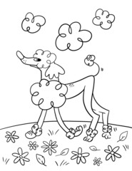 Dog coloring book page. Funny poodle line illustration.