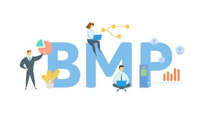 BMP, Best Management Practice. Concept with keyword, people and icons. Flat vector illustration. Isolated on white.